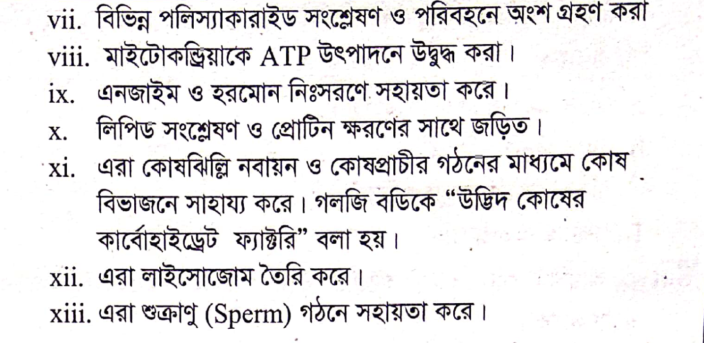 Qizil libos porno onlayn