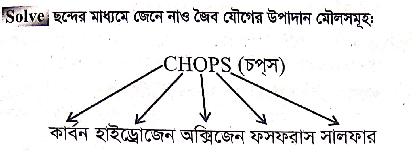 Eng yaxshi katta dumba porno