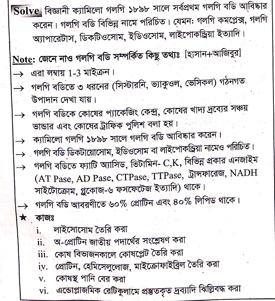 Havaskor qiz dosti birinchi marta eshakda berdi